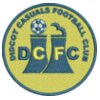 Didcot Casuals FC