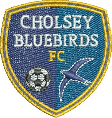 Cholsey Bluebirds FC