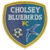 Cholsey Bluebirds FC