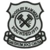 Woodley Hammers FC (large)