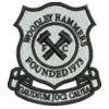 Woodley Hammers FC (small)